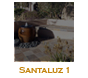 Santaluz 1